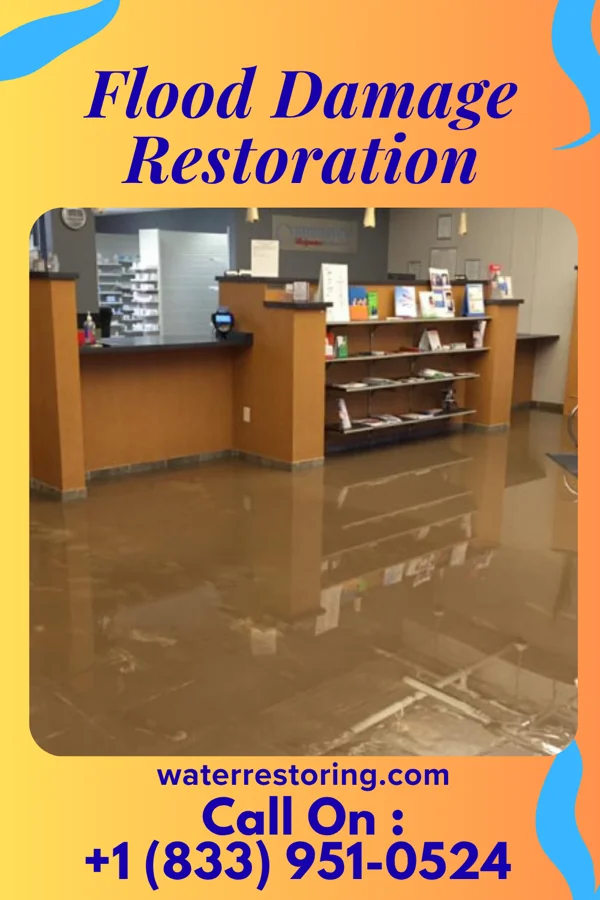 Flood Damage Restoration in Danbury, TX